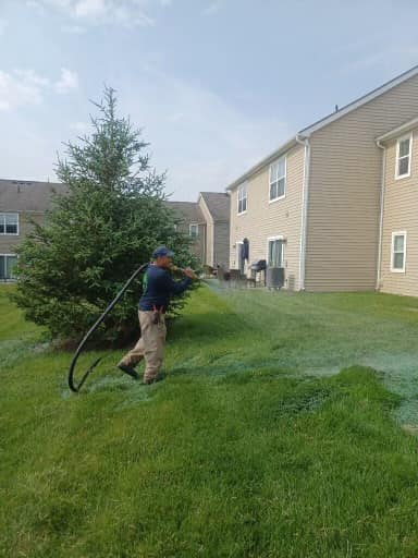 Tree removal commercial property Columbus Ohio