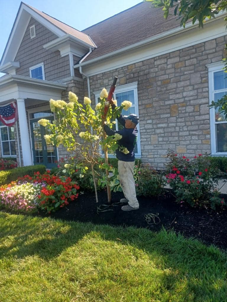 Office park before DLL landscaping service