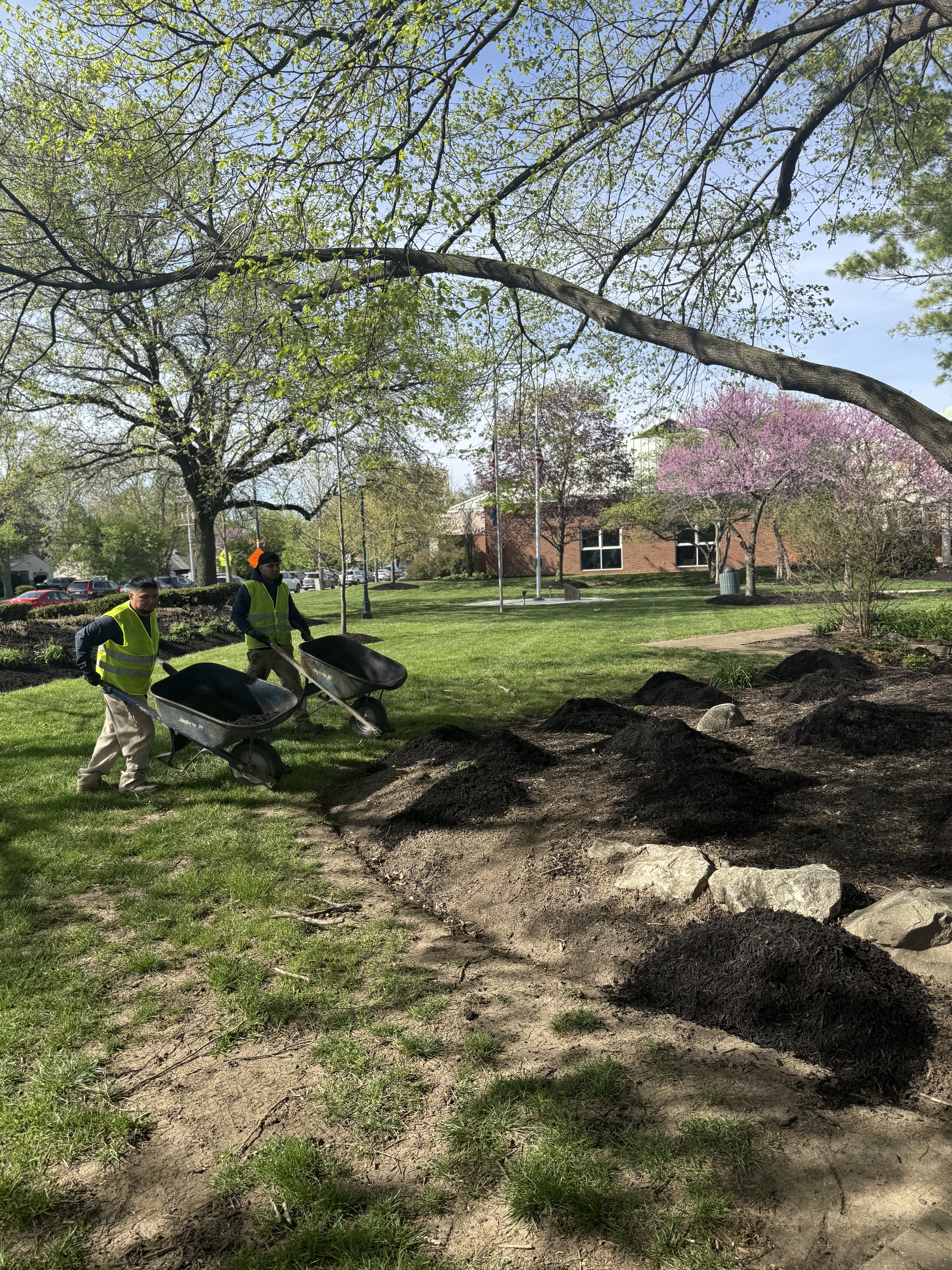 Tree trimming commercial property Central Ohio